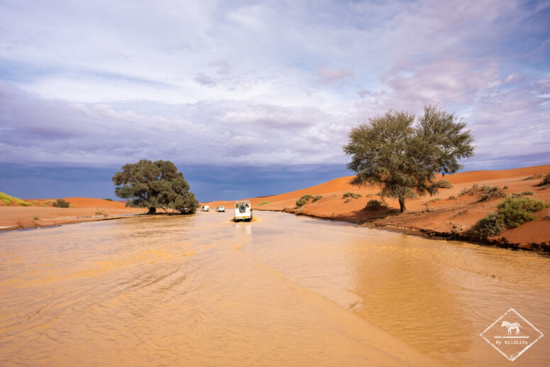 Sossusvlei sous l'eau