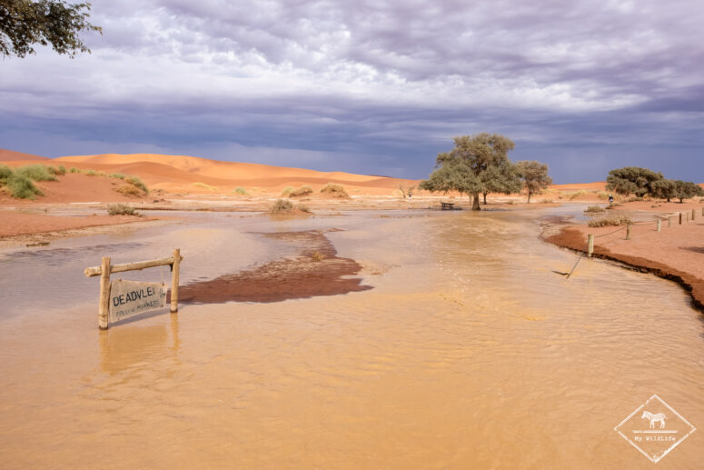 Parking de Dead Vlei sous l'eau