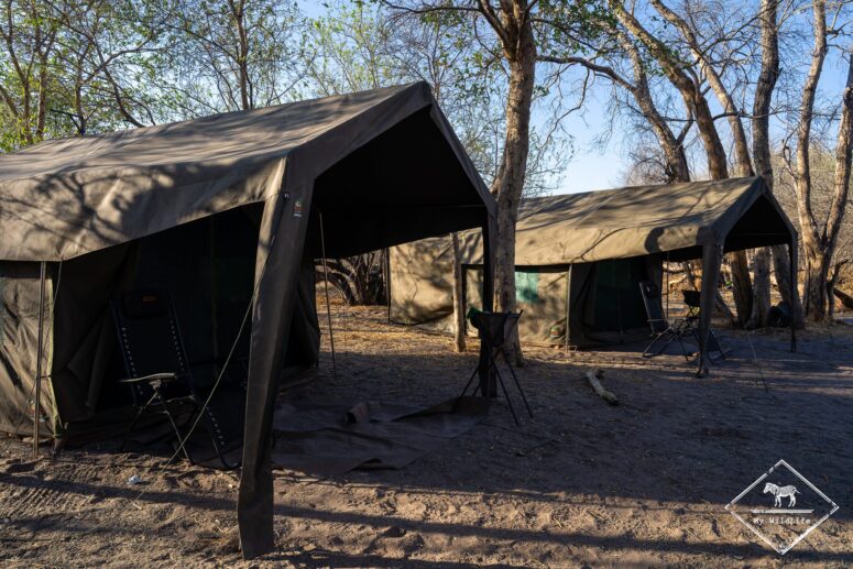 Campement à Savuti