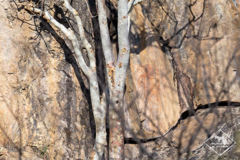 Paintings rock, Savuti
