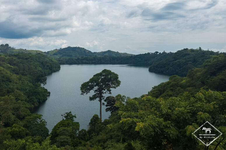 Lac Nyinambuga, Ouganda