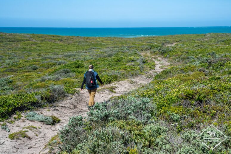 Réserve naturelle du Cap Récif