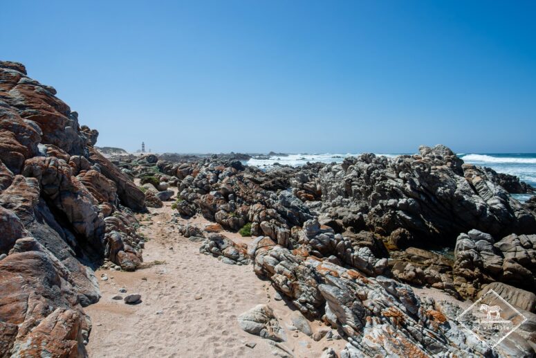 Roseate Tern Trail
