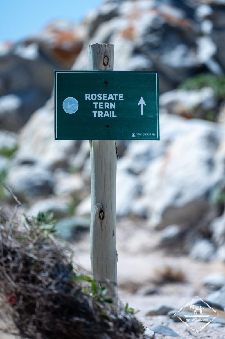 Réserve naturelle du Cap Récif