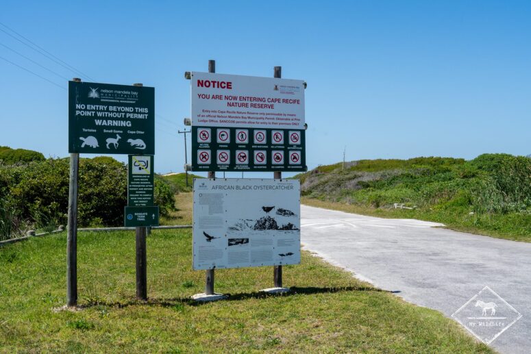Réserve naturelle du Cap Récif, Port Elizabeth