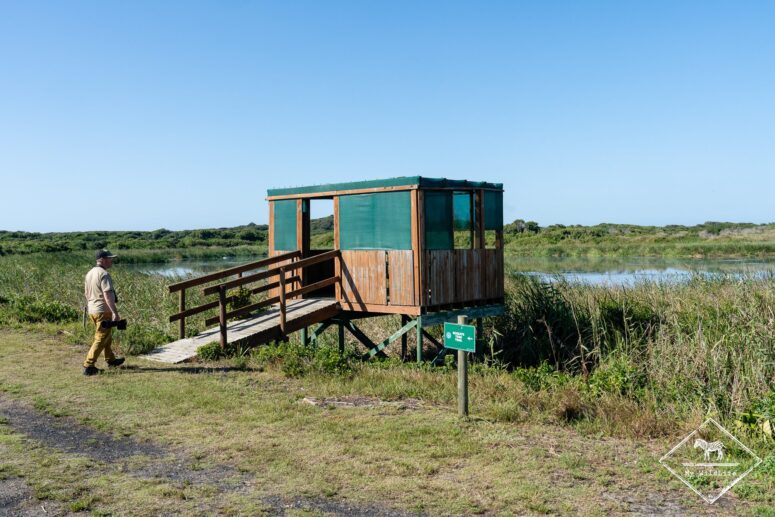 Observatoire sur le Roseate Tern Trail