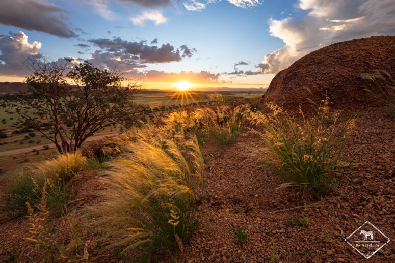 Coucher de soleil, Damaraland