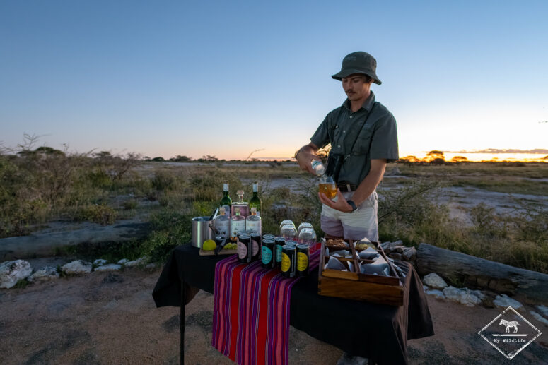 Apéritif dans le bush, Onguma game reserve