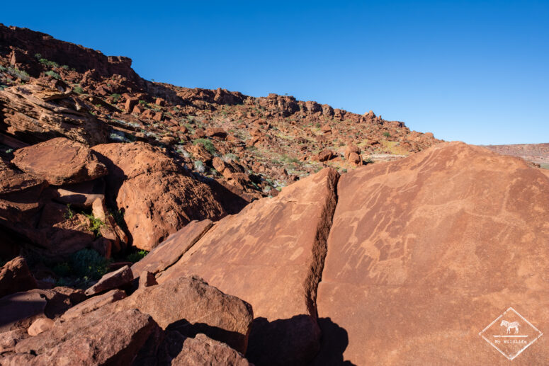 Gravures rupestres de Twyfelfontein