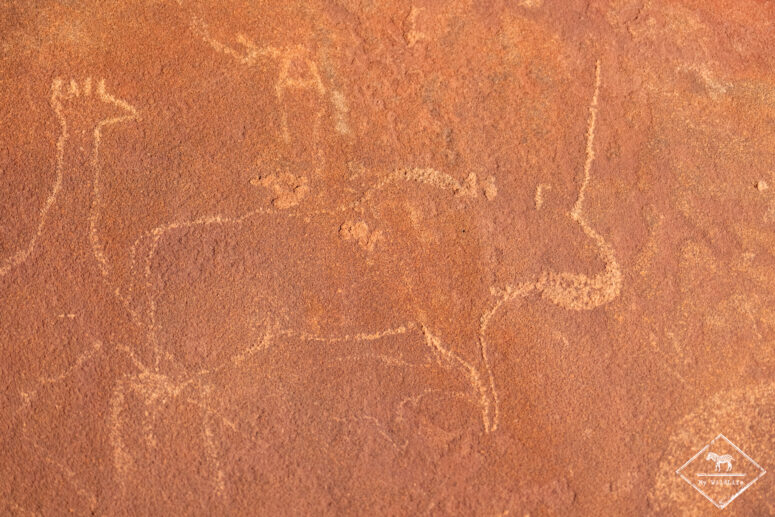 Rhinocéros, Twyfelfontein