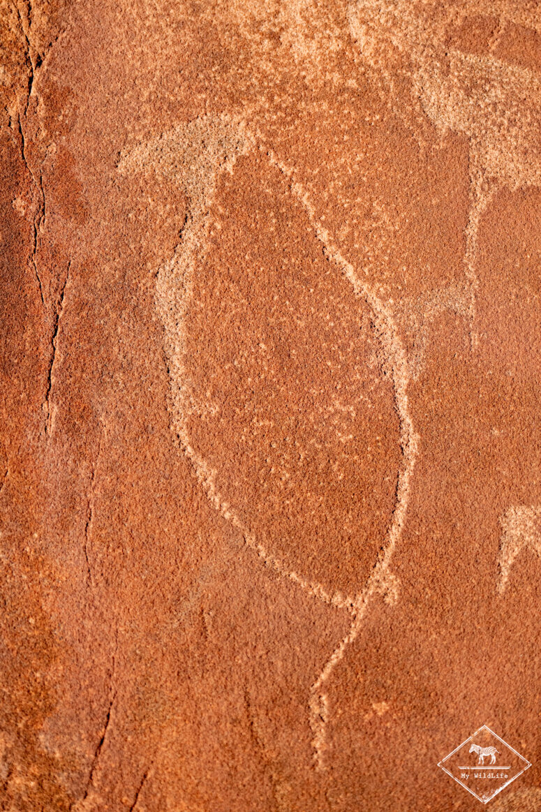 Manchot, Twyfelfontein