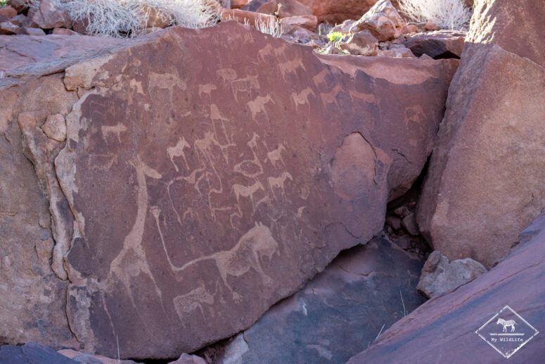 Lion, Twyfelfontein