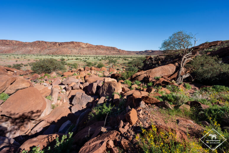 Twyfelfontein