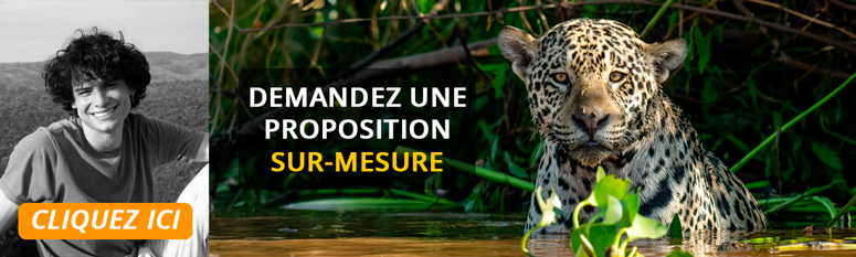 proposition surmesure bresil