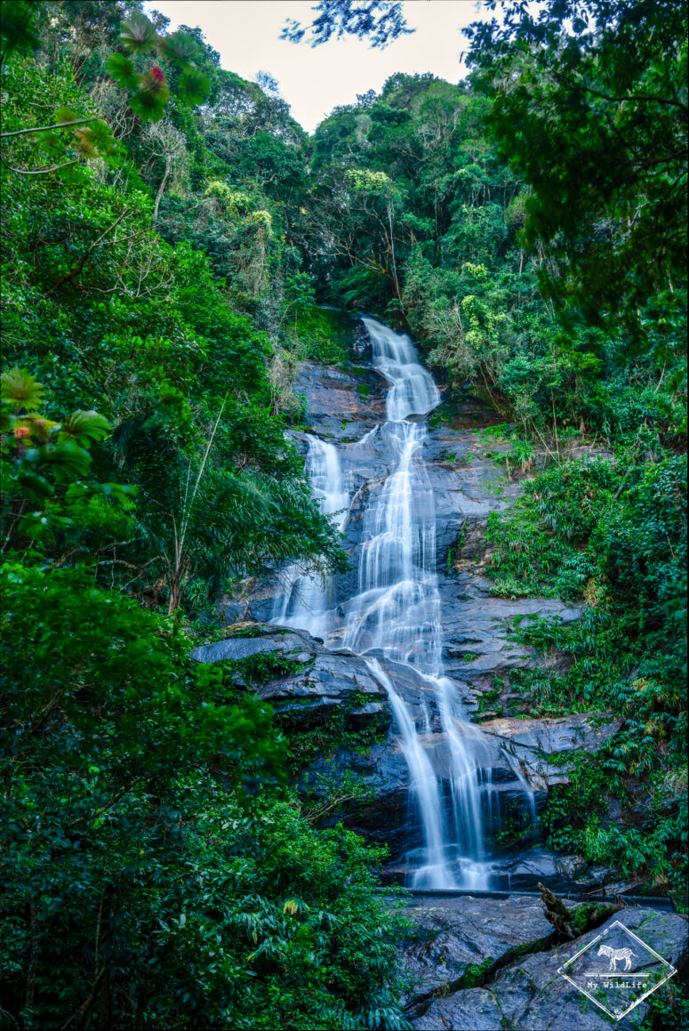 Cascade Taunay, Parc national Tijuca