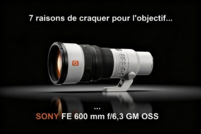 Sony FE 600 mm f/6.3 GM OSS
