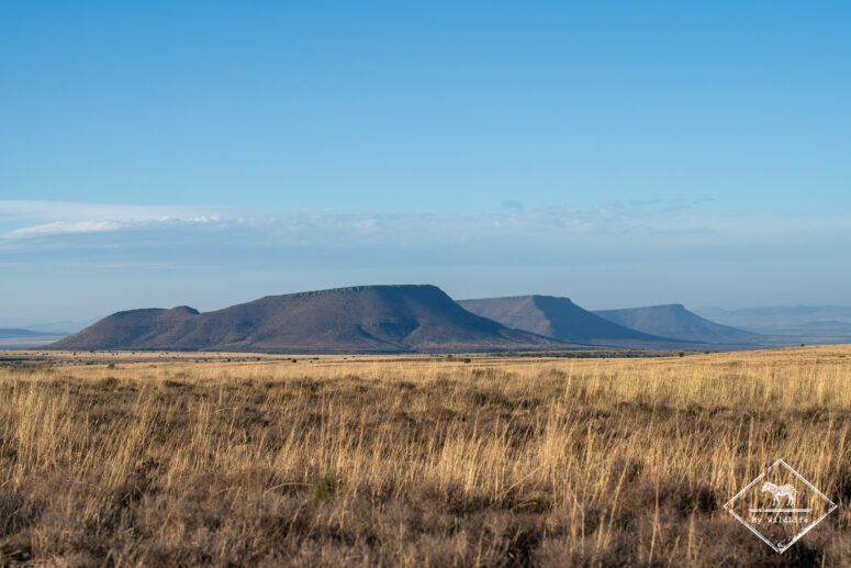 Parc national des Zèbres de Montagne