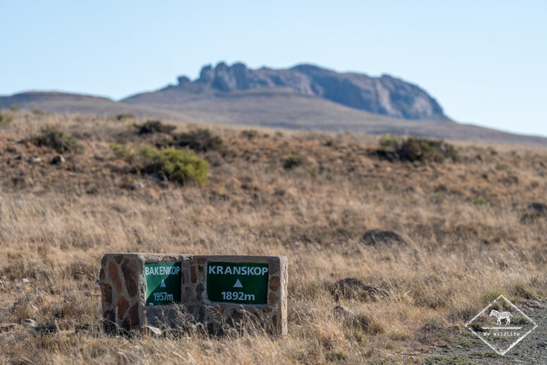 Kranskop, Parc National des Zèbres de Montagne