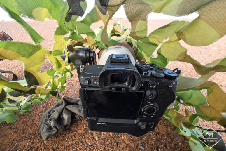 Test Sony A7RVI
