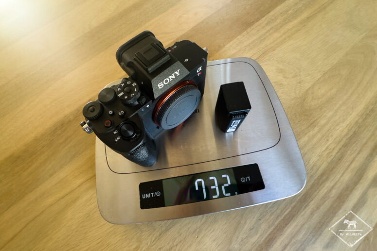 Poids du Sony A7RVI avec la batterie NP-SA100