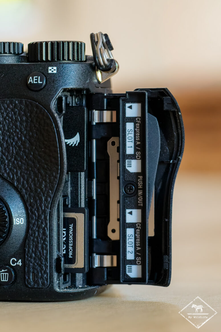 test sonya7rvi gregoryrohart 0764Test Sony A7RVI