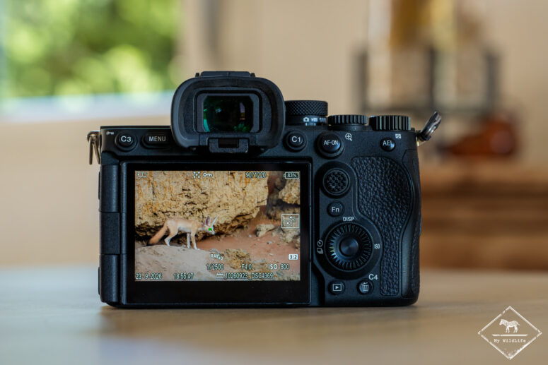 Test Sony A7RVI