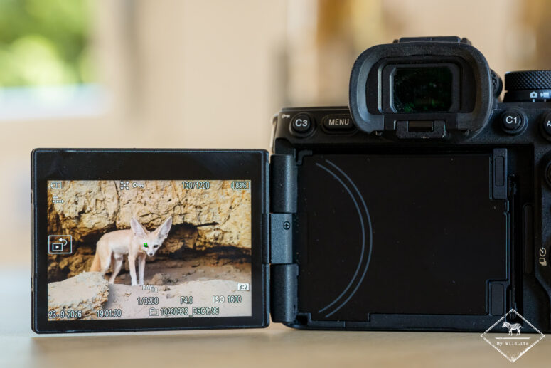Test Sony A7RVI