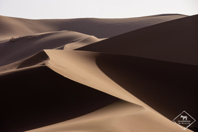 Sahara, Sony A7RVI