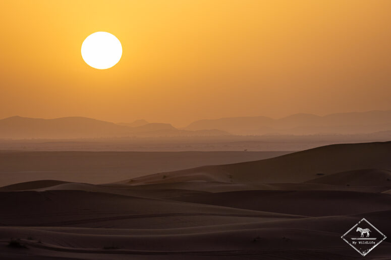 Coucher de soleil au Sahara photographié avec le Sony A7RVI
