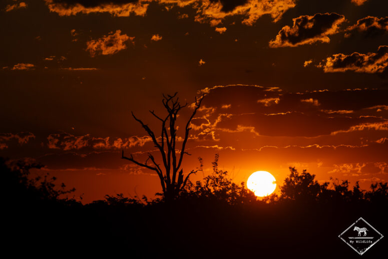 Tuli Wilderness