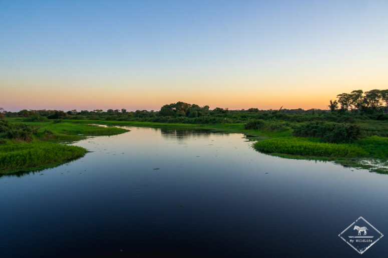 Pantanal