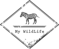 My Wildlife