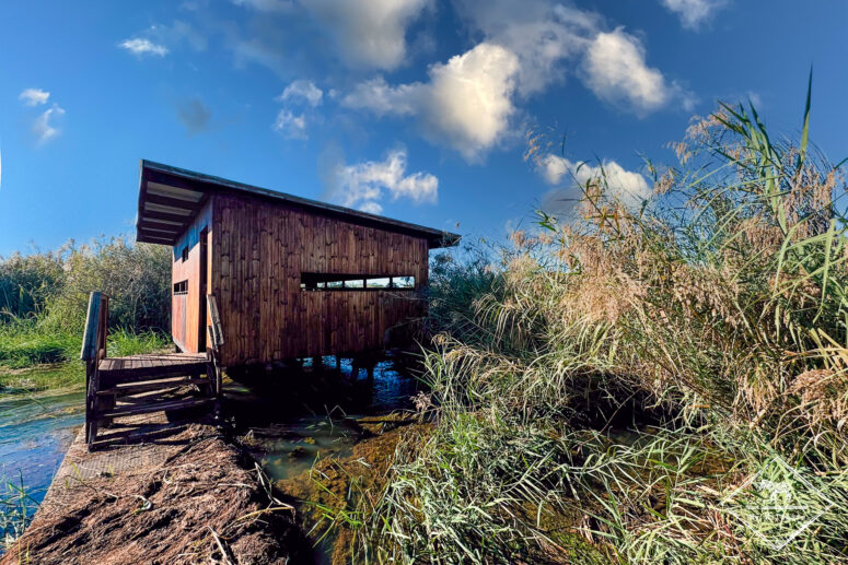 Jacana hide, Nylsvley Nature Reserve