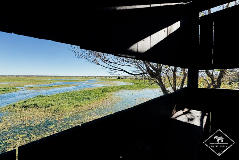 Dabchick hide, Nylsvley Nature Reserve