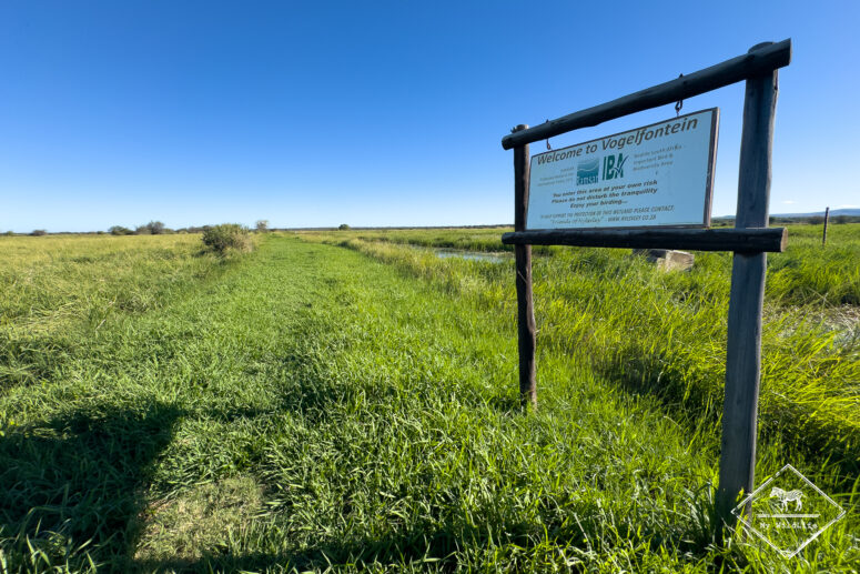 Secteur Vogelfontein , Nylsvley Nature Reserve