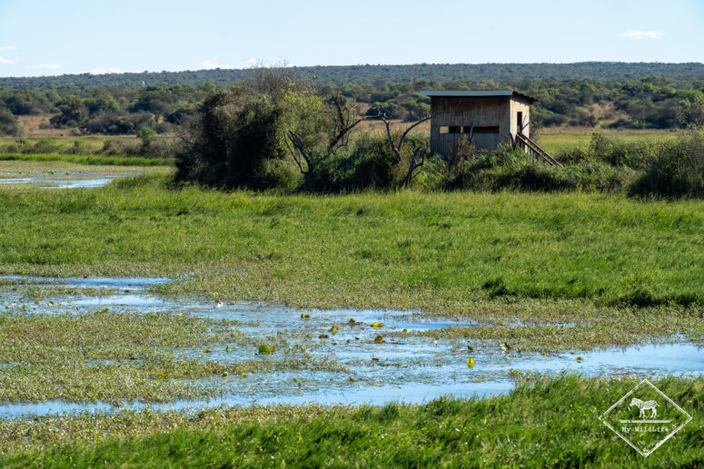 Crake hide, Nylsvley Nature Reserve