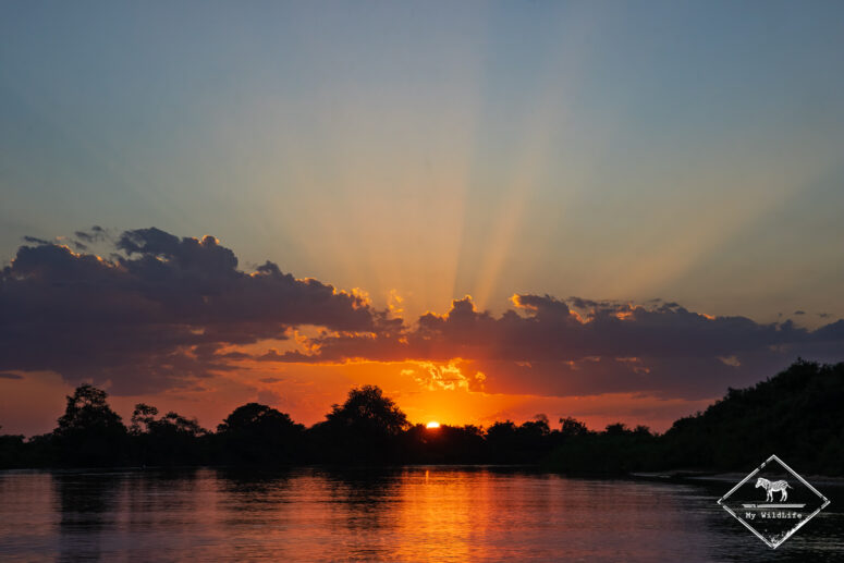 Lever de soleil sur le Pantanal