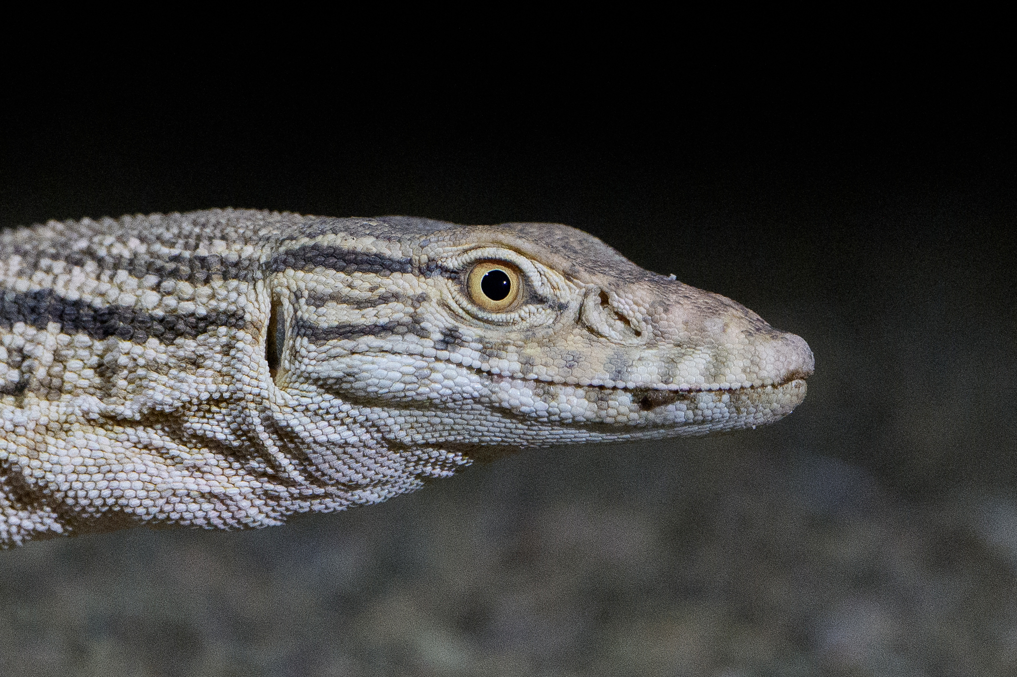 sonya7rvi 3200iso raw