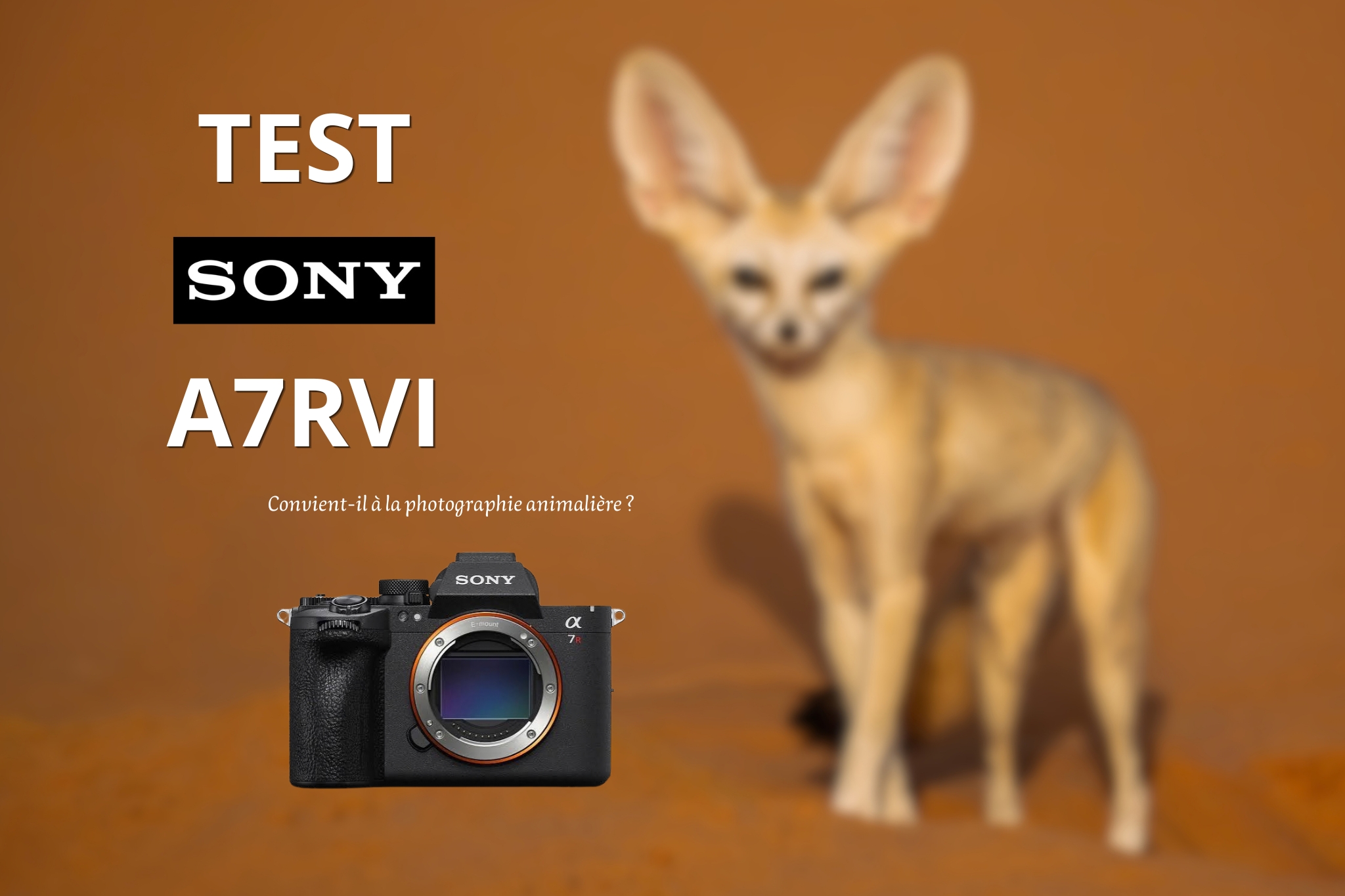 Test Sony A7RVI
